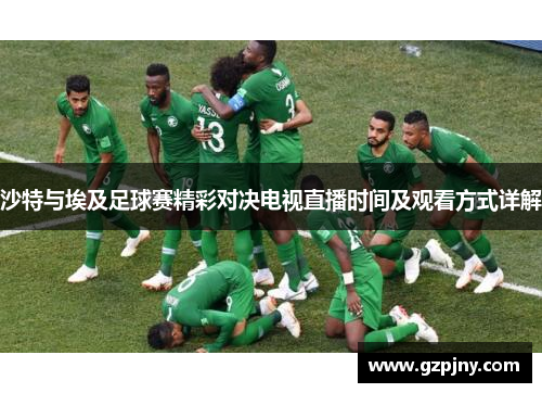 沙特与埃及足球赛精彩对决电视直播时间及观看方式详解